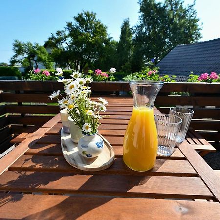Apartment Murva Drežnik Grad Eksteriør bilde