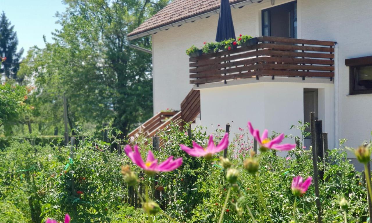 Apartment Murva Drežnik Grad Eksteriør bilde