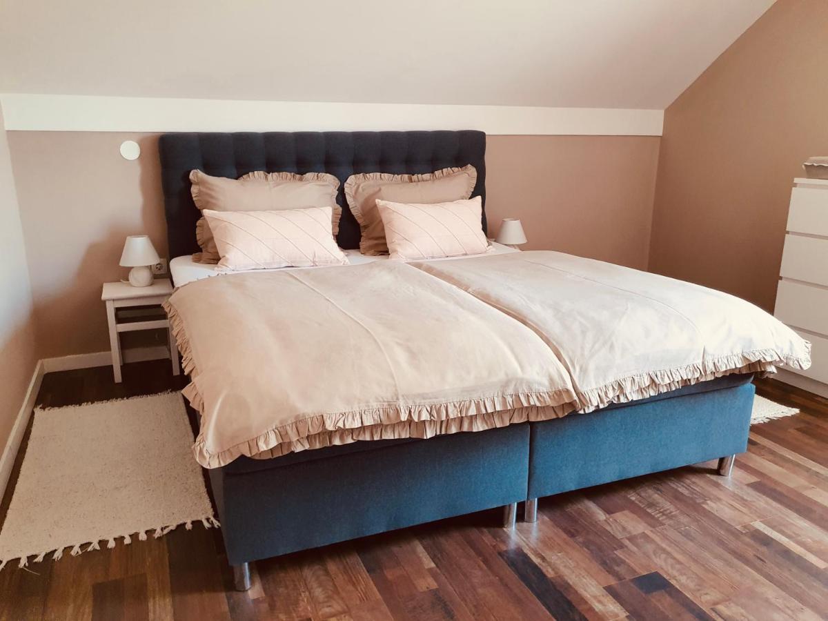 Apartment Murva Drežnik Grad Eksteriør bilde