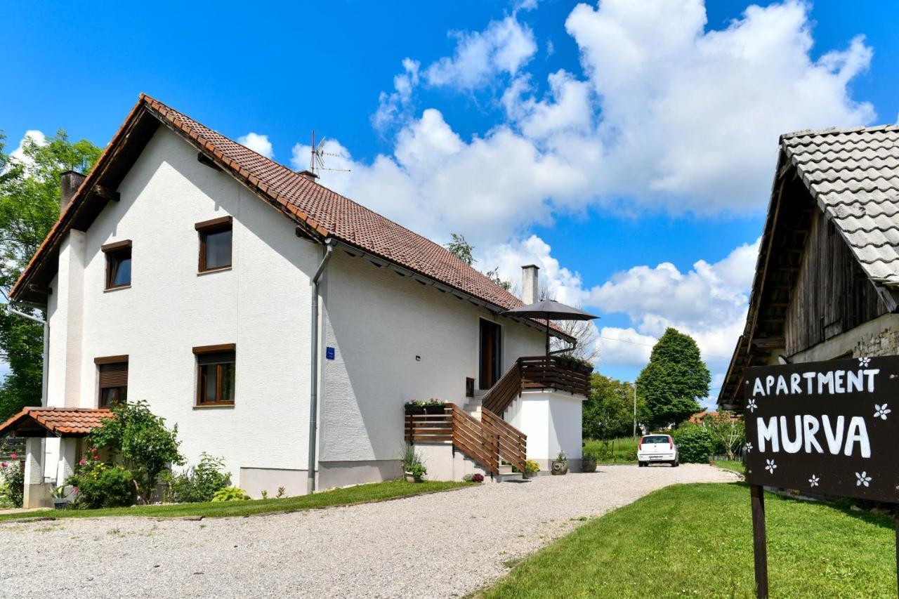 Apartment Murva Drežnik Grad Eksteriør bilde