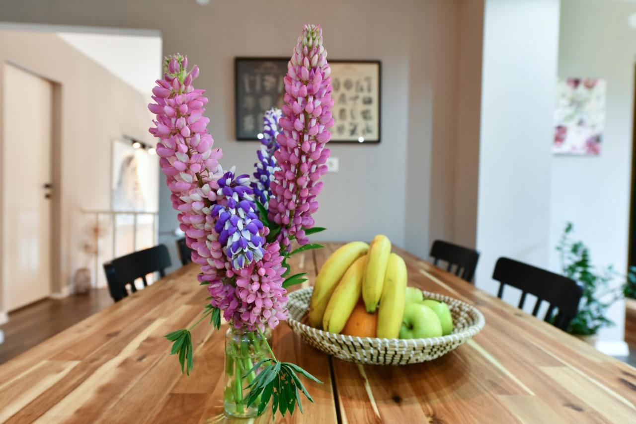 Apartment Murva Drežnik Grad Eksteriør bilde